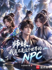 ʦ�ã����治����������NPC